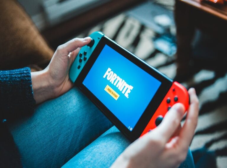 Fortnite Online Hcdesports